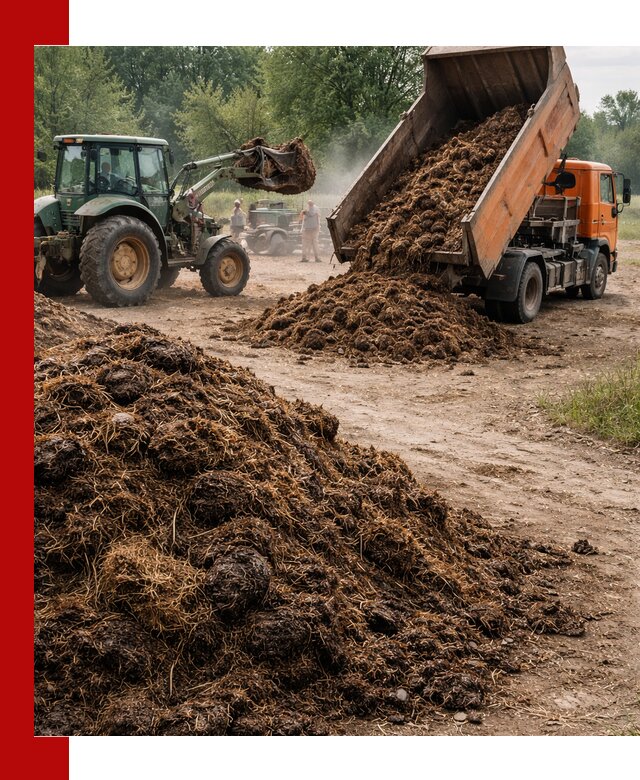 Доставка навоза самосвалами в Балашове для сельхозпотребностей